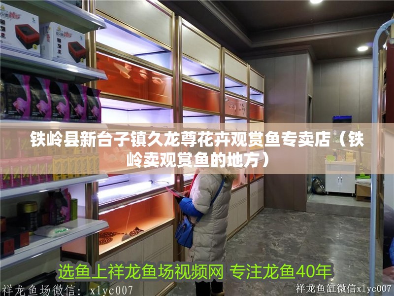 鐵嶺縣新臺子鎮久龍尊花卉觀賞魚專賣店（鐵嶺賣觀賞魚的地方）