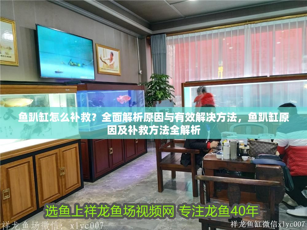 詳細(xì)閱讀:魚(yú)趴缸怎么補(bǔ)救?全面解析原因與有效解決方法,魚(yú)趴缸原因及補(bǔ)救方法全解析 魚(yú)趴缸怎么補(bǔ)救?全面解析原因與有效解決方法,魚(yú)趴缸原因及補(bǔ)救方法全解析