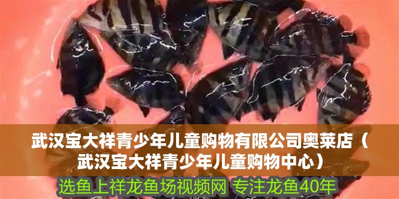 武漢寶大祥青少年兒童購物有限公司奧萊店（武漢寶大祥青少年兒童購物中心）