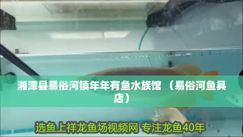 湘潭縣易俗河鎮(zhèn)年年有魚水族館 （易俗河魚具店）