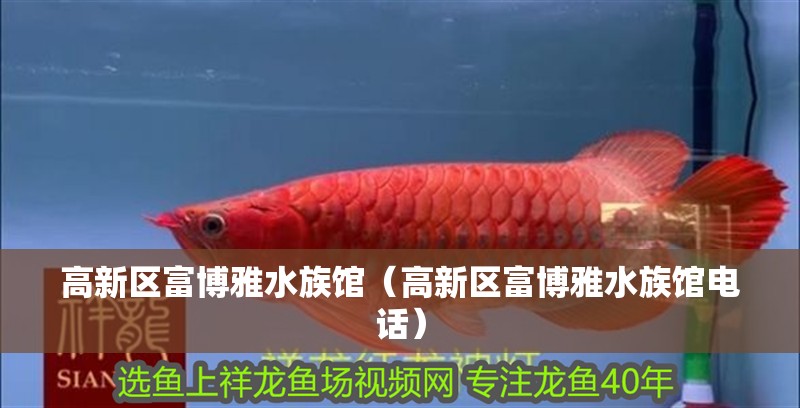 高新區富博雅水族館（高新區富博雅水族館電話）