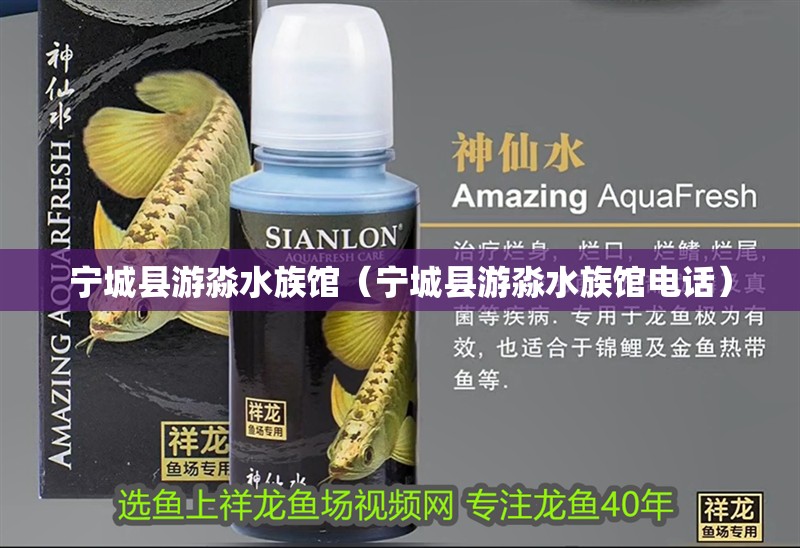 寧城縣游淼水族館（寧城縣游淼水族館電話）