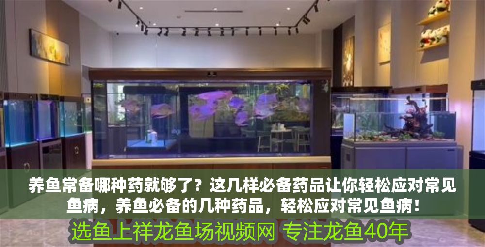 養(yǎng)魚常備哪種藥就夠了？這幾樣必備藥品讓你輕松應(yīng)對(duì)常見(jiàn)魚病，養(yǎng)魚必備的幾種藥品，輕松應(yīng)對(duì)常見(jiàn)魚??！