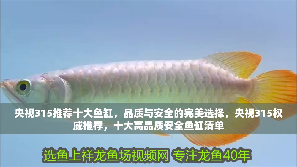 央視315推薦十大魚缸，品質與安全的完美選擇，央視315權威推薦，十大高品質安全魚缸清單