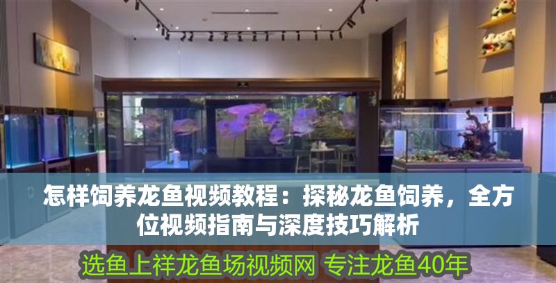 怎樣飼養(yǎng)龍魚視頻教程:探秘龍魚飼養(yǎng),全方位視頻指南與深度技巧解析 龍魚百科 第1張 怎樣飼養(yǎng)龍魚視頻教程:探秘龍魚飼養(yǎng),全方位視頻指南與深度技巧解析 怎樣飼養(yǎng)龍魚視頻教程:探秘龍魚飼養(yǎng),全方位視頻指南與深度技巧解析 龍魚百科 第1張