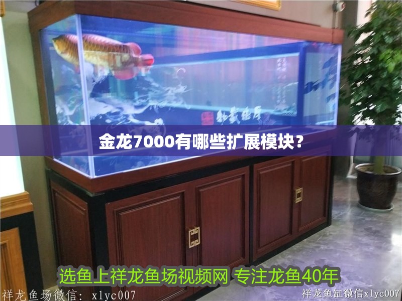 金龍7000有哪些擴(kuò)展模塊？