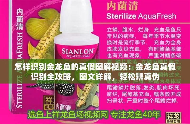怎樣識別金龍魚的真假圖解視頻：金龍魚真假識別全攻略，圖文詳解，輕松辨真偽