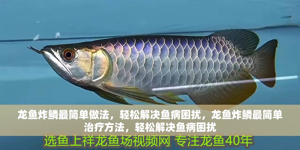 龍魚炸鱗最簡單做法，輕松解決魚病困擾，龍魚炸鱗最簡單治療方法，輕松解決魚病困擾