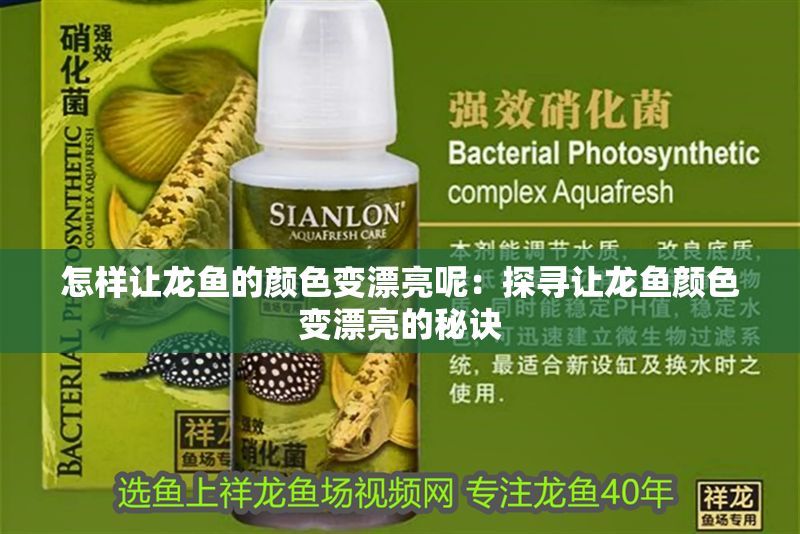 怎樣讓龍魚的顏色變漂亮呢：探尋讓龍魚顏色變漂亮的秘訣