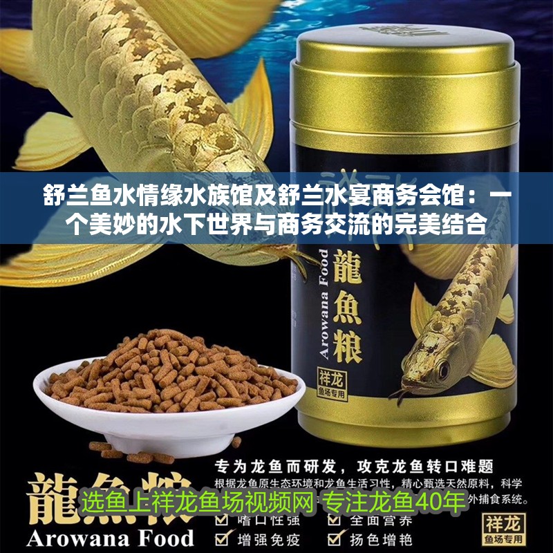 舒蘭魚水情緣水族館及舒蘭水宴商務會館：一個美妙的水下世界與商務交流的完美結合