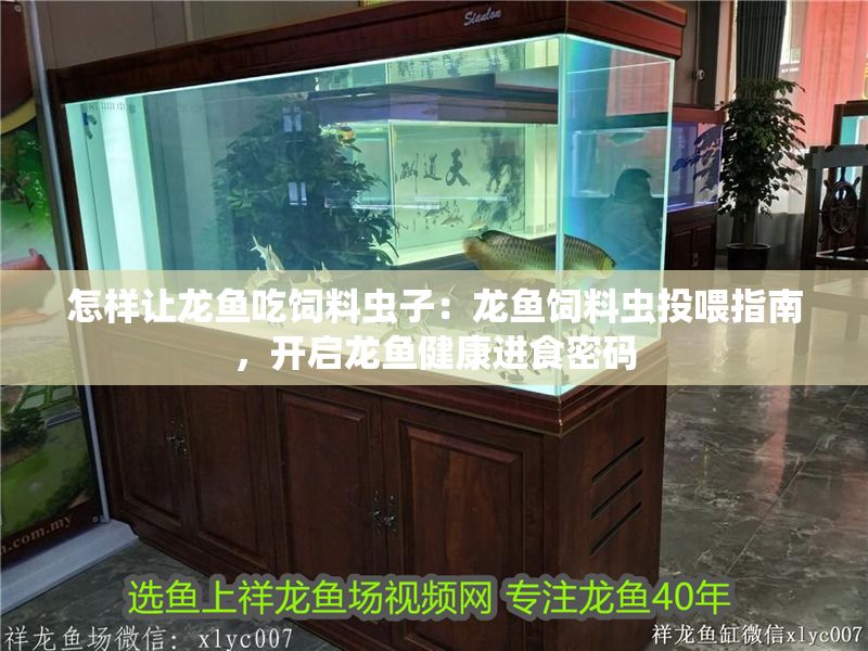 怎樣讓龍魚吃飼料蟲子：龍魚飼料蟲投喂指南，開啟龍魚健康進食密碼