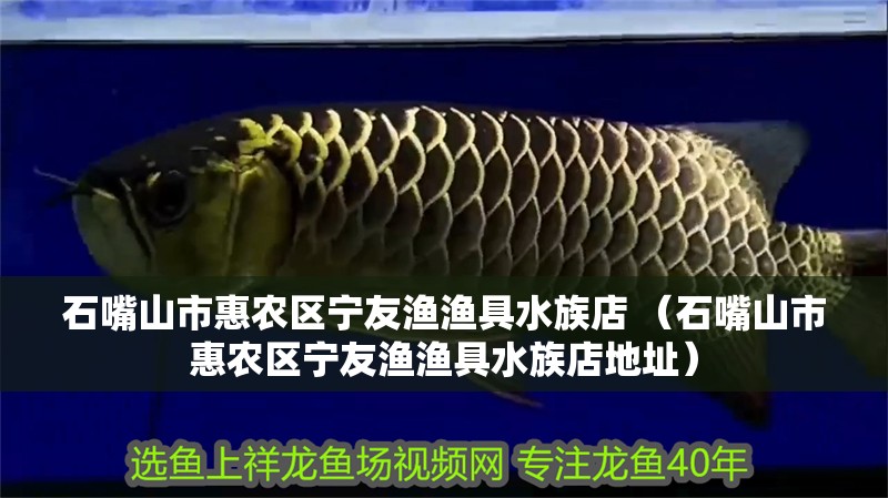 石嘴山市惠農(nóng)區(qū)寧友漁漁具水族店 （石嘴山市惠農(nóng)區(qū)寧友漁漁具水族店地址）