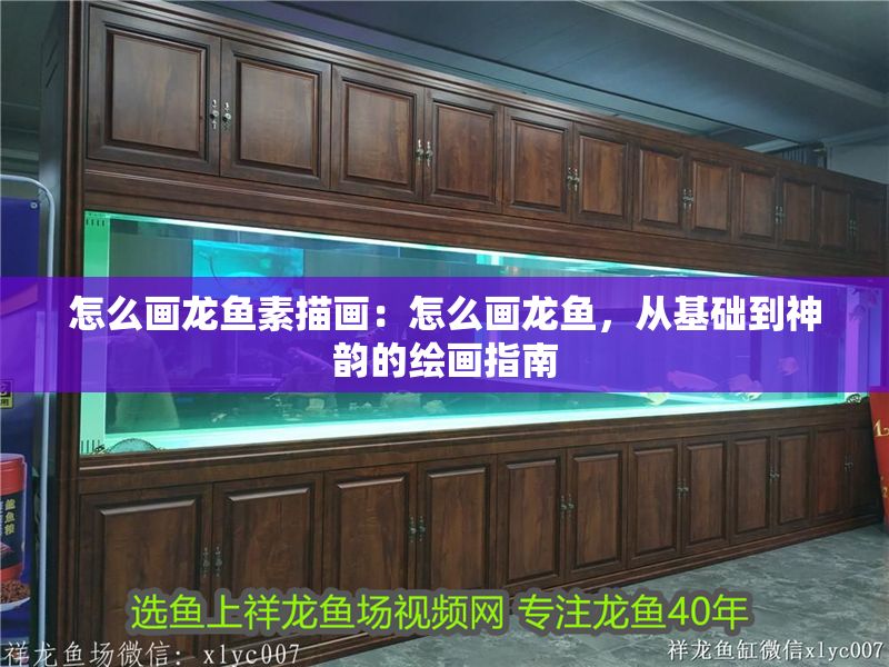 怎么畫龍魚素描畫：怎么畫龍魚，從基礎到神韻的繪畫指南