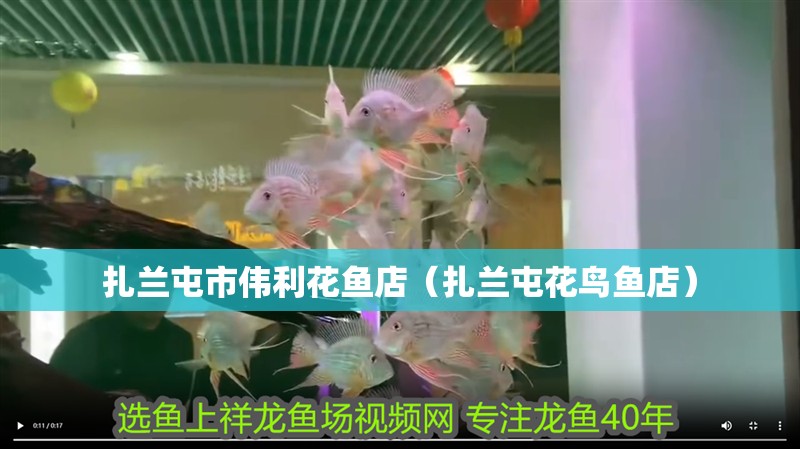 扎蘭屯市偉利花魚店（扎蘭屯花鳥魚店）