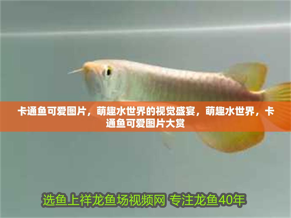卡通魚可愛圖片，萌趣水世界的視覺盛宴，萌趣水世界，卡通魚可愛圖片大賞