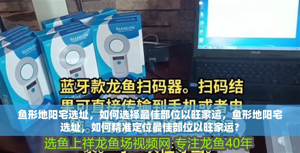 魚形地陽宅選址，如何選擇最佳部位以旺家運(yùn)，魚形地陽宅選址，如何精準(zhǔn)定位最佳部位以旺家運(yùn)？ 魚形地陽宅選址，如何選擇最佳部位以旺家運(yùn)，魚形地陽宅選址，如何精準(zhǔn)定位最佳部位以旺家運(yùn)？ 龍魚百科 第1張