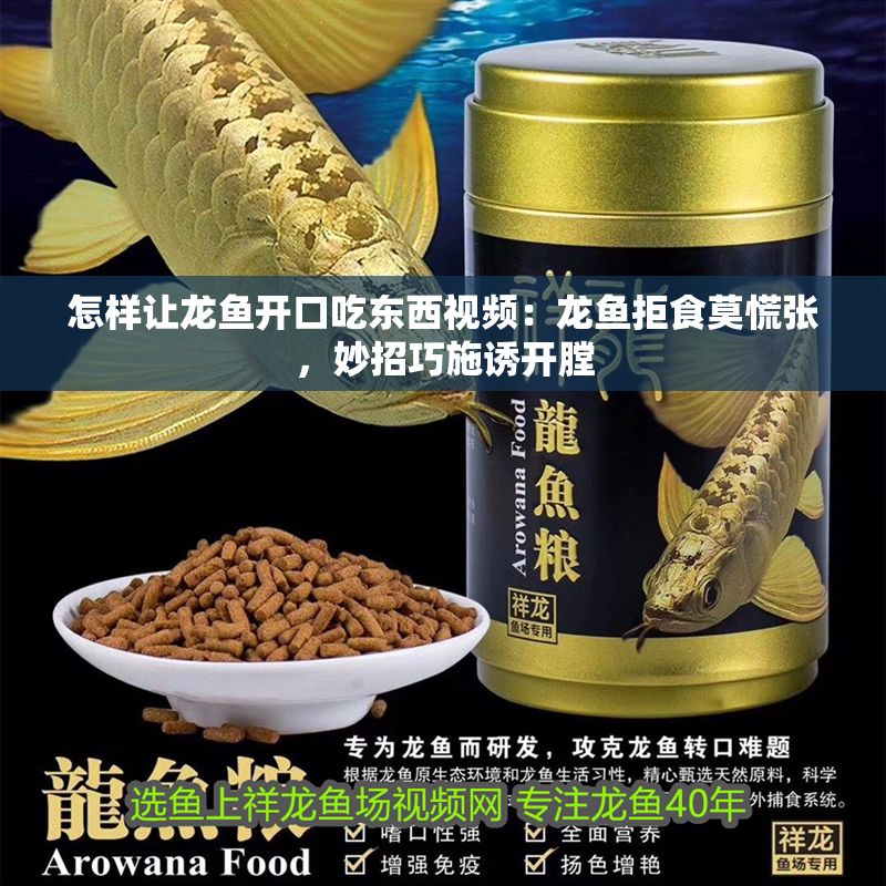 怎樣讓龍魚開(kāi)口吃東西視頻：龍魚拒食莫慌張，妙招巧施誘開(kāi)膛