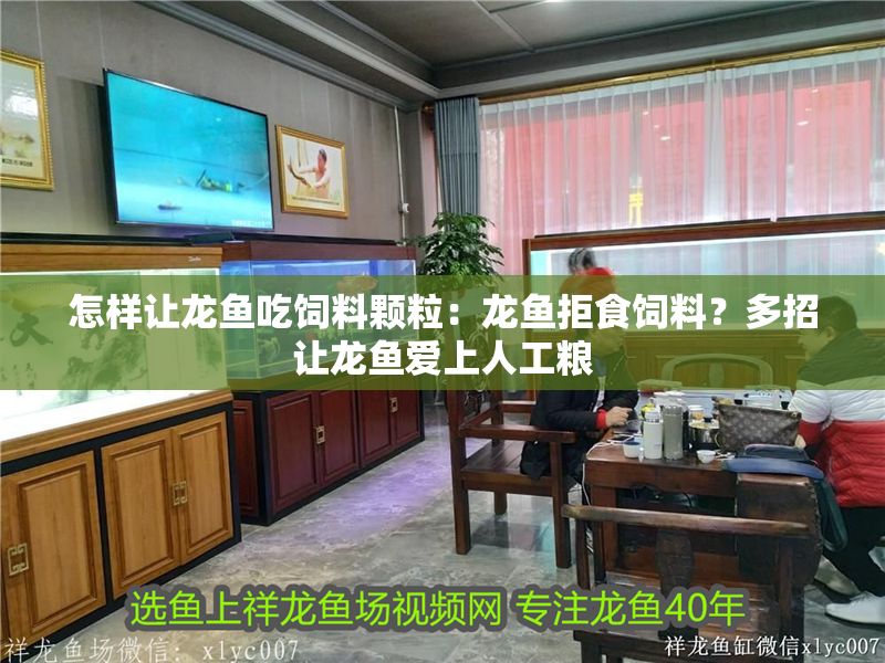 怎樣讓龍魚吃飼料顆粒：龍魚拒食飼料？多招讓龍魚愛(ài)上人工糧