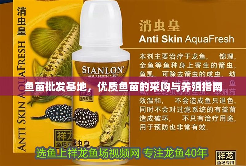 魚苗批發基地，優質魚苗的采購與養殖指南