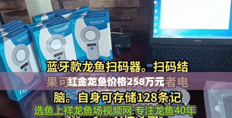 紅金龍魚價格258萬元