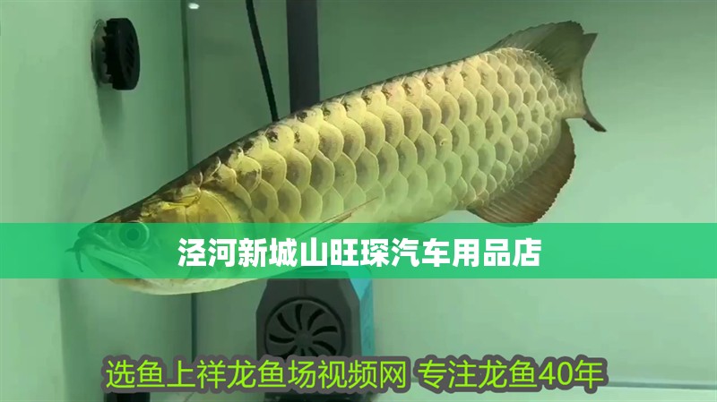 涇河新城山旺琛汽車用品店