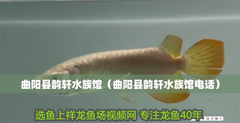 曲陽縣韻軒水族館（曲陽縣韻軒水族館電話）