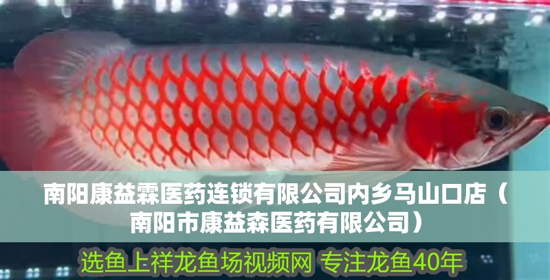 南陽康益霖醫(yī)藥連鎖有限公司內(nèi)鄉(xiāng)馬山口店（南陽市康益森醫(yī)藥有限公司）