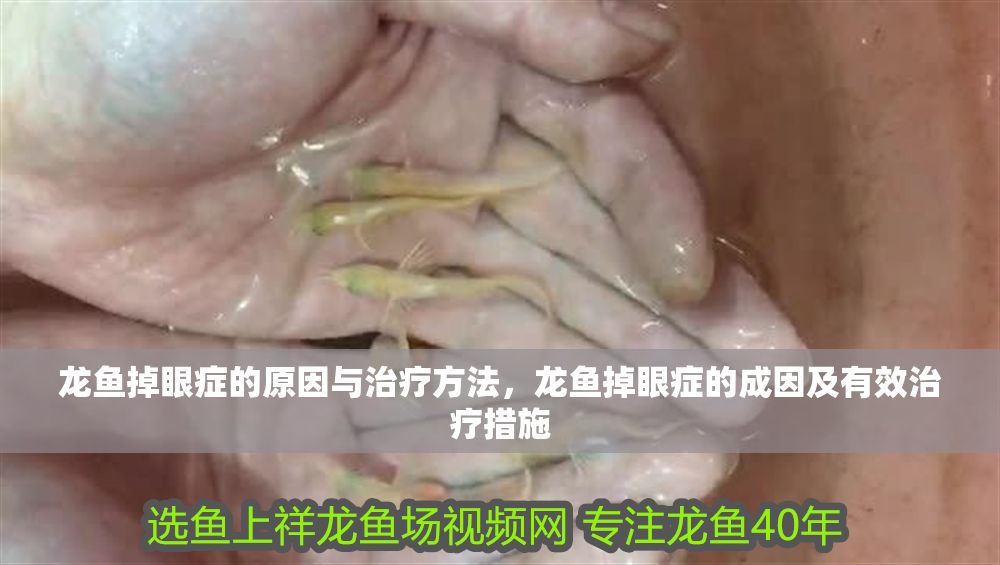 龍魚掉眼癥的原因與治療方法，龍魚掉眼癥的成因及有效治療措施