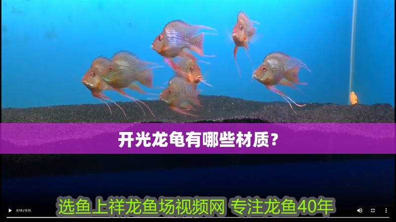 開光龍龜有哪些材質？