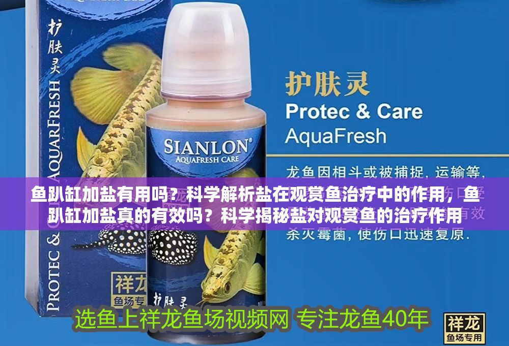 魚趴缸加鹽有用嗎？科學解析鹽在觀賞魚治療中的作用，魚趴缸加鹽真的有效嗎？科學揭秘鹽對觀賞魚的治療作用