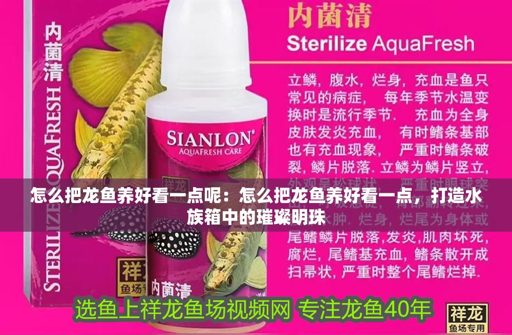 怎么把龍魚養(yǎng)好看一點呢：怎么把龍魚養(yǎng)好看一點，打造水族箱中的璀璨明珠