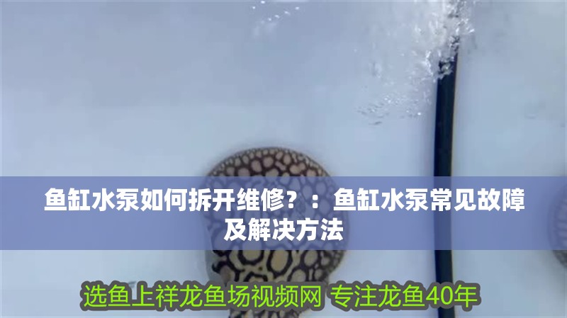 魚缸水泵如何拆開(kāi)維修？：魚缸水泵常見(jiàn)故障及解決方法