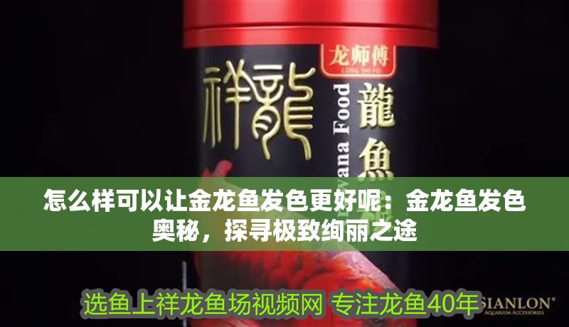 怎么樣可以讓金龍魚發色更好呢：金龍魚發色奧秘，探尋極致絢麗之途