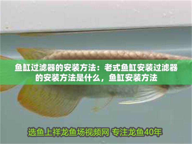 魚缸過濾器的安裝方法：老式魚缸安裝過濾器的安裝方法是什么，魚缸安裝方法