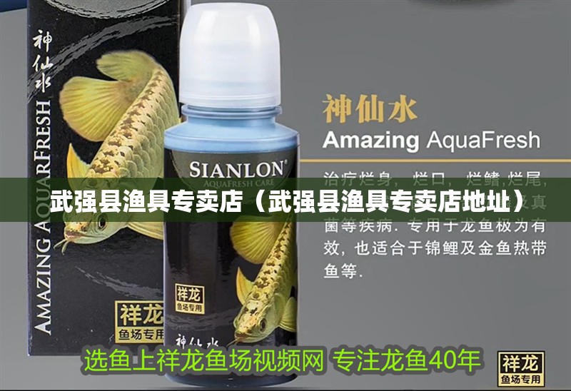 武強(qiáng)縣漁具專賣店（武強(qiáng)縣漁具專賣店地址）