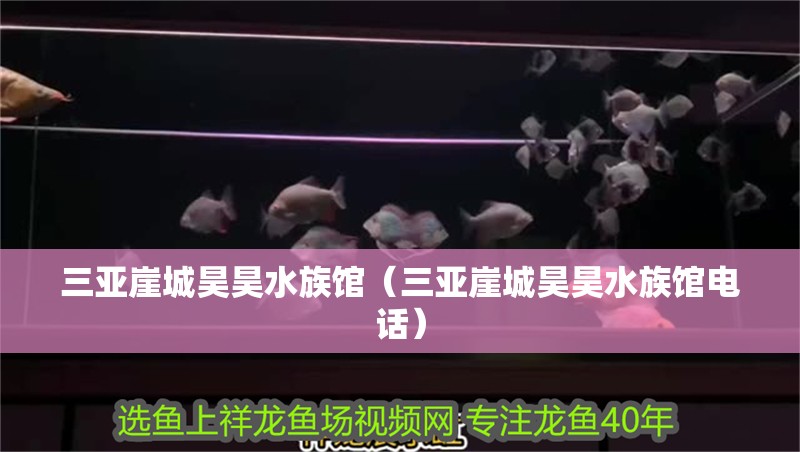 三亞崖城昊昊水族館（三亞崖城昊昊水族館電話）