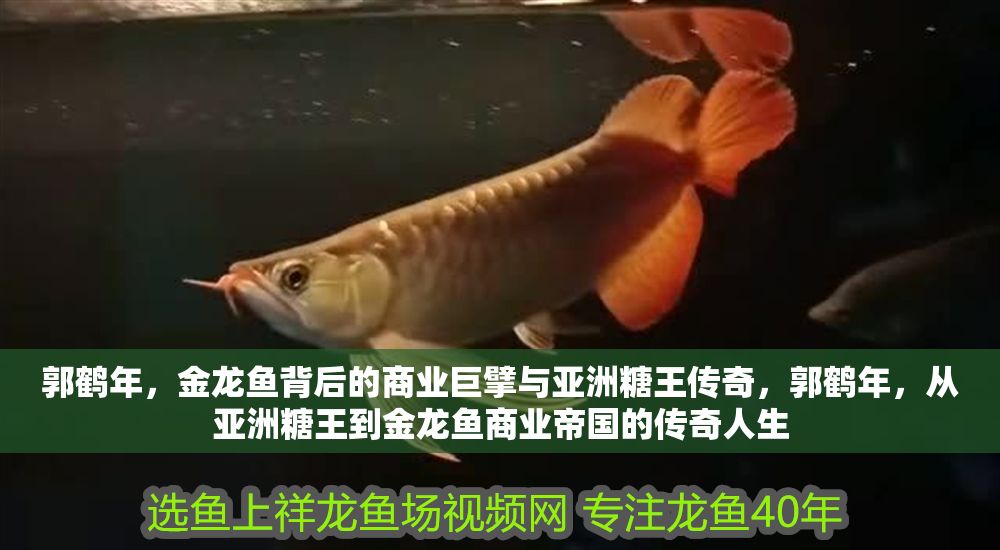 郭鶴年，金龍魚背后的商業巨擘與亞洲糖王傳奇，郭鶴年，從亞洲糖王到金龍魚商業帝國的傳奇人生