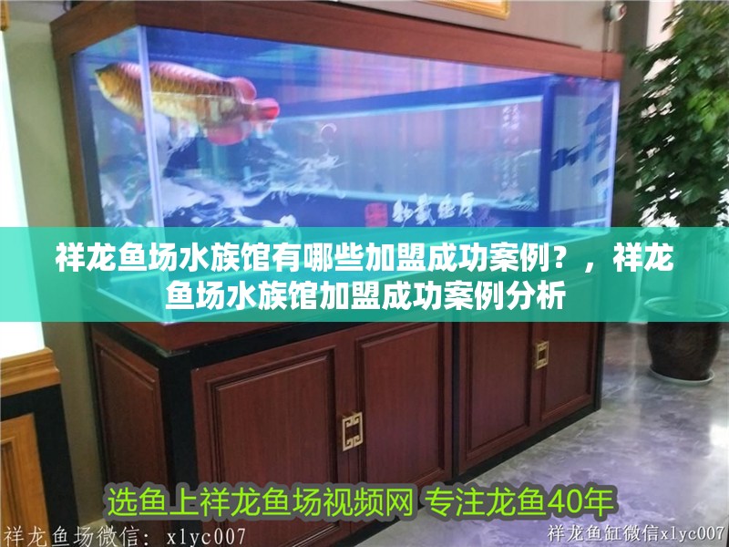 祥龍魚場水族館有哪些加盟成功案例？，祥龍魚場水族館加盟成功案例分析 祥龍魚場水族館有哪些加盟成功案例？，祥龍魚場水族館加盟成功案例分析 龍魚百科