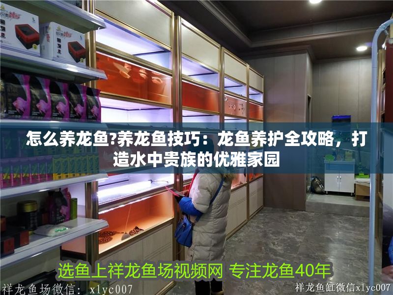 怎么養龍魚?養龍魚技巧：龍魚養護全攻略，打造水中貴族的優雅家園