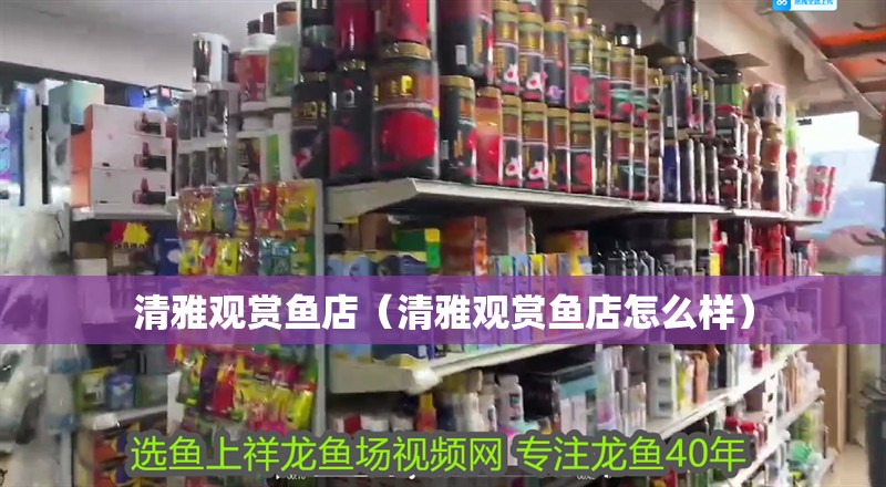 清雅觀賞魚店（清雅觀賞魚店怎么樣）