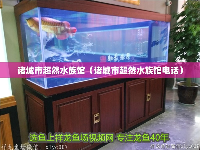 龍魚(yú)干蝦有營(yíng)養(yǎng)嗎 諸城市超然水族館(諸城市超然水族館電話(huà)) 全國(guó)水族館企業(yè)名錄 諸城市超然水族館(諸城市超然水族館電話(huà)) 諸城市超然水族館(諸城市超然水族館電話(huà)) 全國(guó)水族館企業(yè)名錄