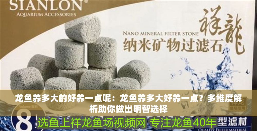 龍魚養多大的好養一點呢：龍魚養多大好養一點？多維度解析助你做出明智選擇