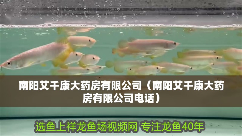 南陽艾千康大藥房有限公司（南陽艾千康大藥房有限公司電話）