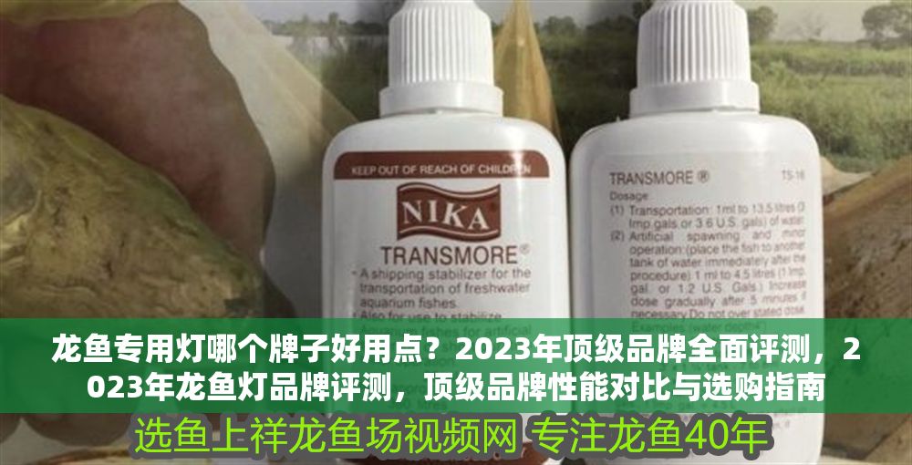 龍魚專用燈哪個牌子好用點？2023年頂級品牌全面評測，2023年龍魚燈品牌評測，頂級品牌性能對比與選購指南