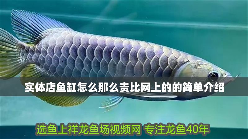 實體店魚缸怎么那么貴比網上的的簡單介紹