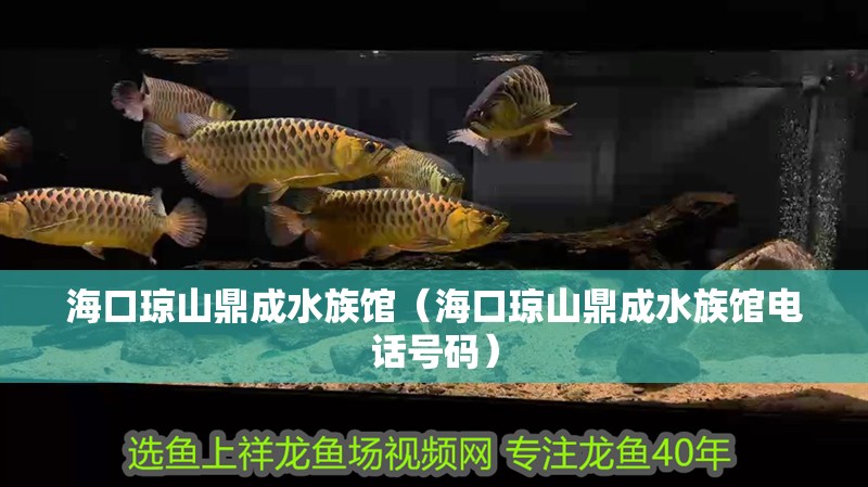 <strong><mark>?？?/mark></strong>瓊山鼎成水族館（<strong><mark>海口</mark></strong>瓊山鼎成水族館電話號碼）