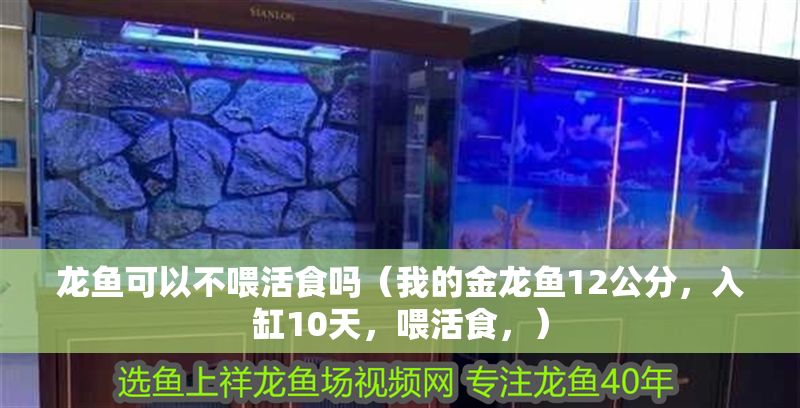 龍魚可以不喂活食嗎（我的金龍魚12公分，入缸10天，喂活食，）