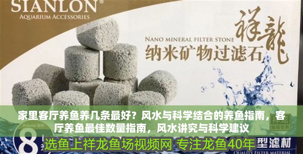 家里客廳養魚養幾條最好？風水與科學結合的養魚指南，客廳養魚最佳數量指南，風水講究與科學建議