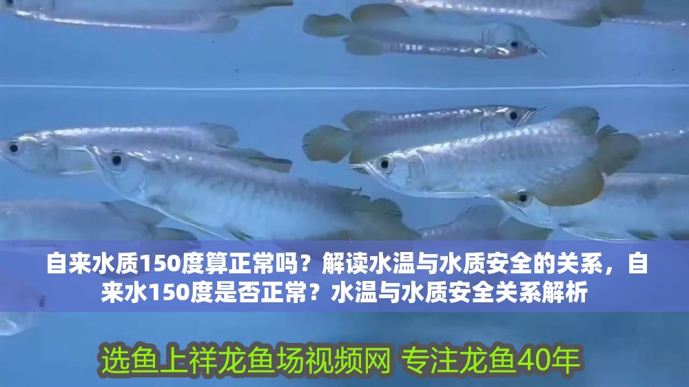 自來水質150度算正常嗎？解讀水溫與水質安全的關系，自來水150度是否正常？水溫與水質安全關系解析 自來水質150度算正常嗎？解讀水溫與水質安全的關系，自來水150度是否正常？水溫與水質安全關系解析 龍魚百科 第1張