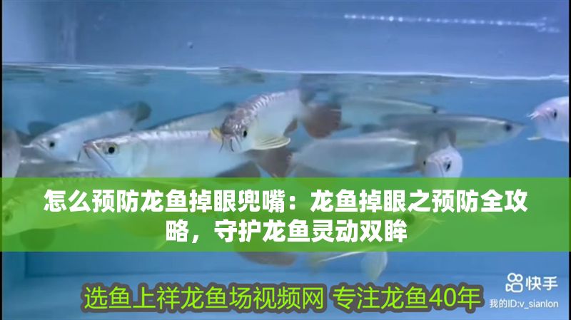 怎么預防龍魚掉眼兜嘴：龍魚掉眼之預防全攻略，守護龍魚靈動雙眸